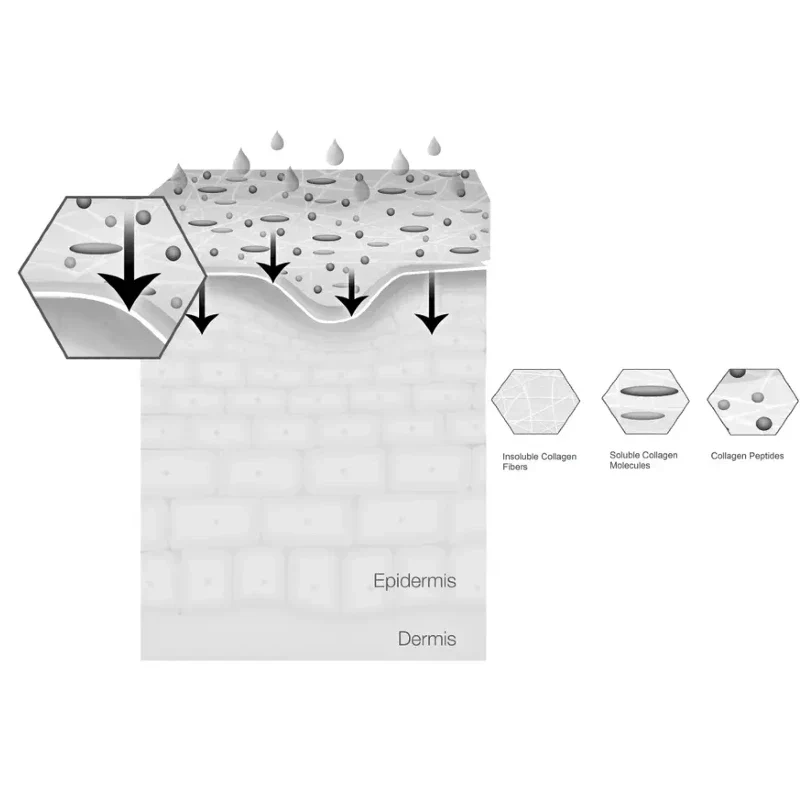                  Activation & Release of ActiveIngredients               
